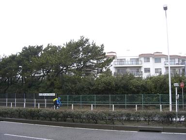 435b2137.jpg
