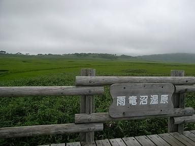 RIMG6651