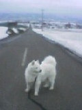 nikki_0604002009