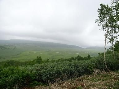 RIMG6698