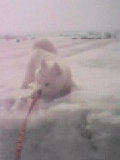 nikki_0504003006