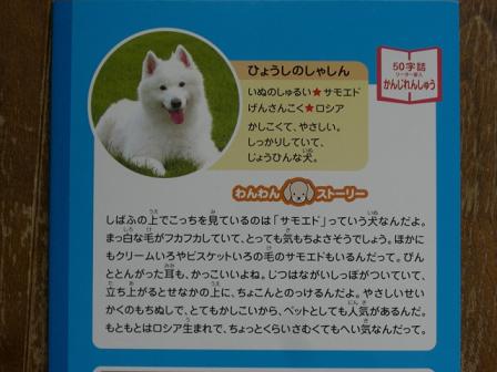 ff46d8b9.jpg