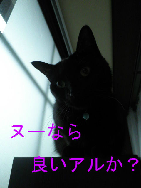 BlogPaint