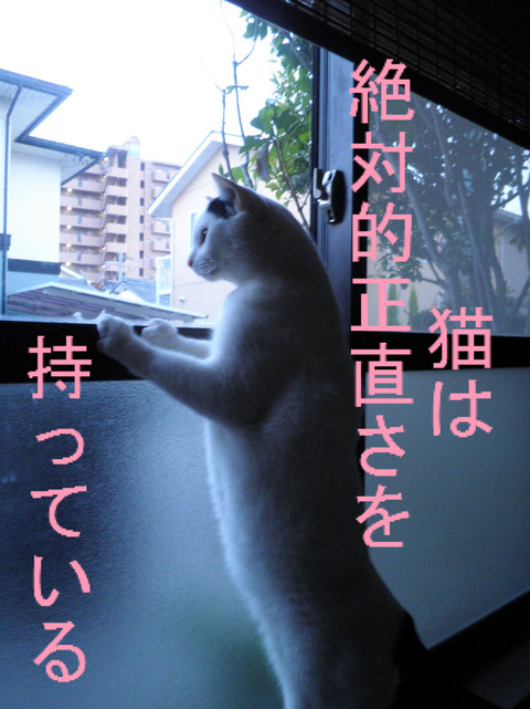 BlogPaint