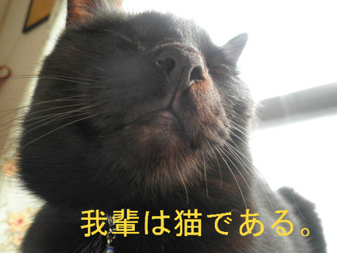 BlogPaint