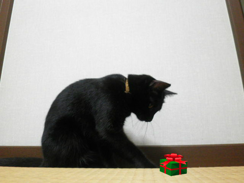 BlogPaint