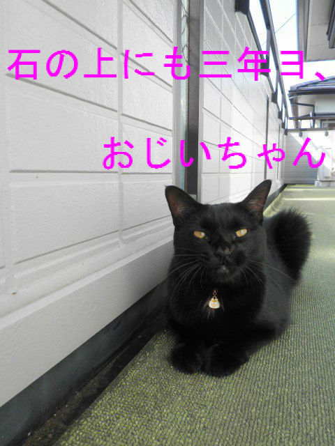 BlogPaint