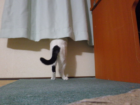 2013 019