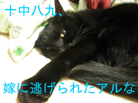 BlogPaint