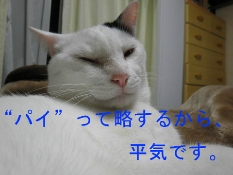BlogPaint