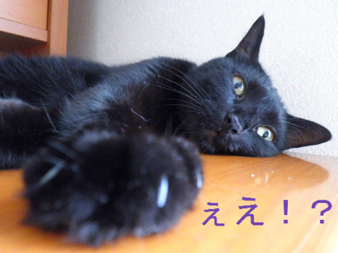 BlogPaint