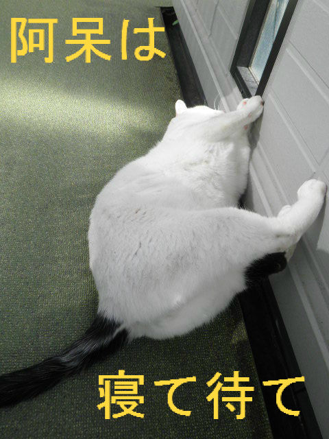 BlogPaint