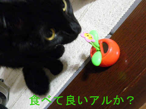 BlogPaint