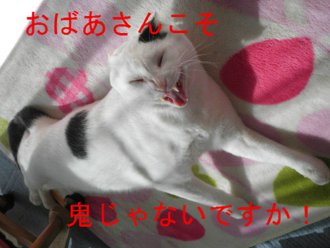 BlogPaint
