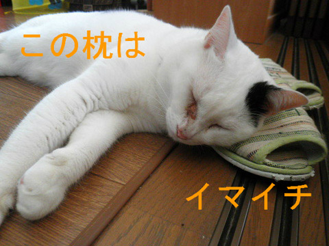 BlogPaint