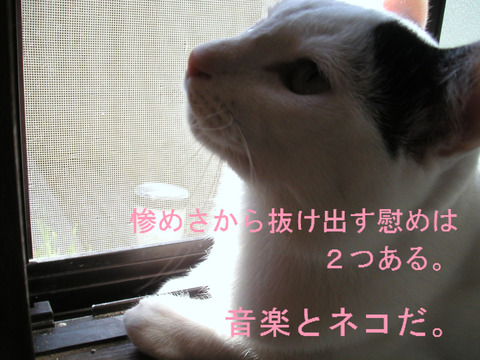 BlogPaint