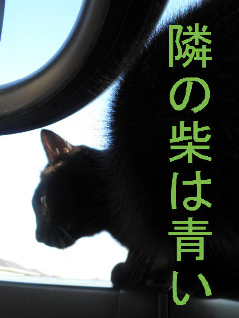 BlogPaint