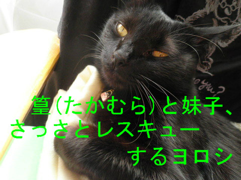 BlogPaint