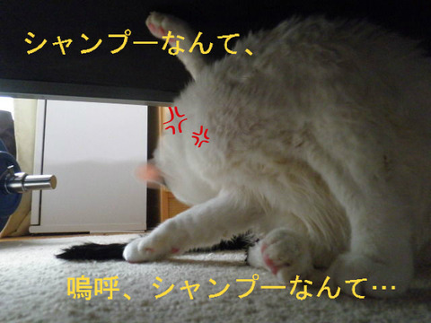 BlogPaint