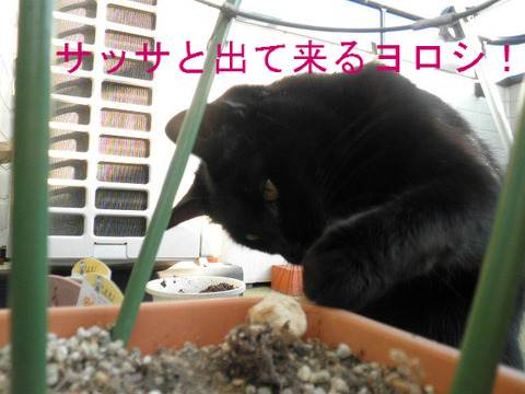 BlogPaint