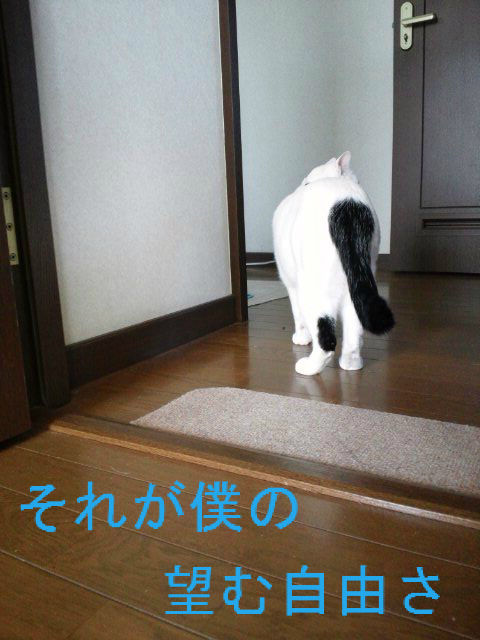 BlogPaint
