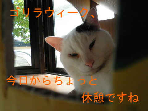 BlogPaint