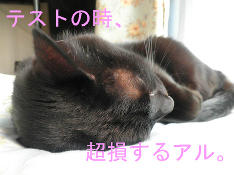 BlogPaint