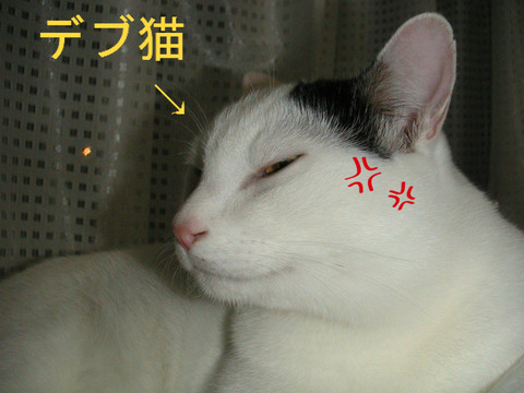 BlogPaint