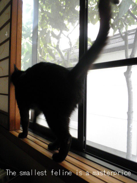 BlogPaint
