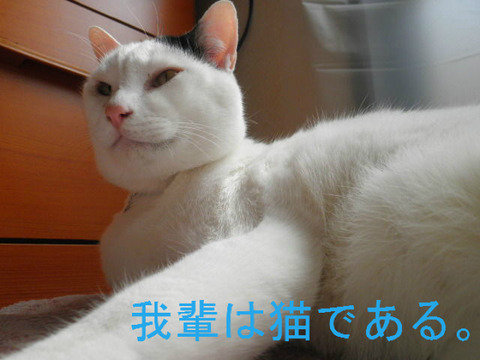 BlogPaint