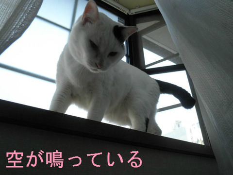 BlogPaint