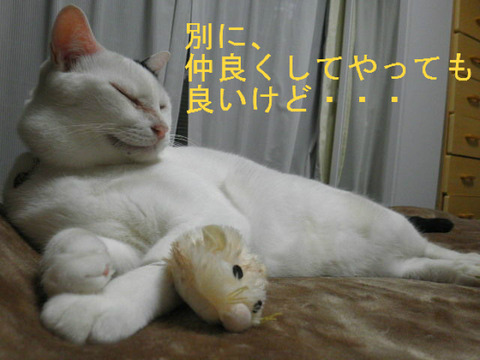 BlogPaint