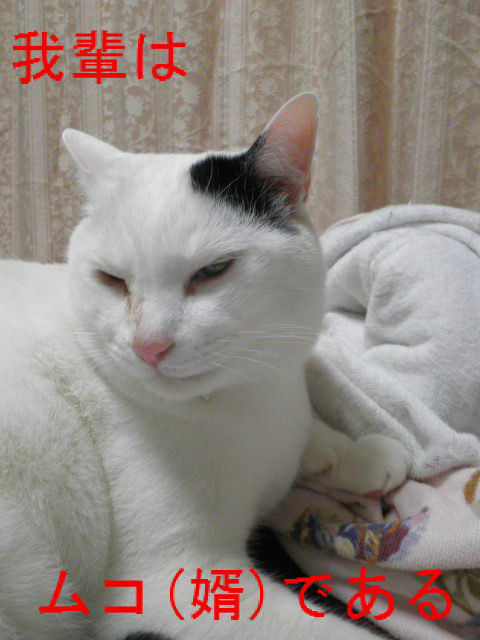 BlogPaint
