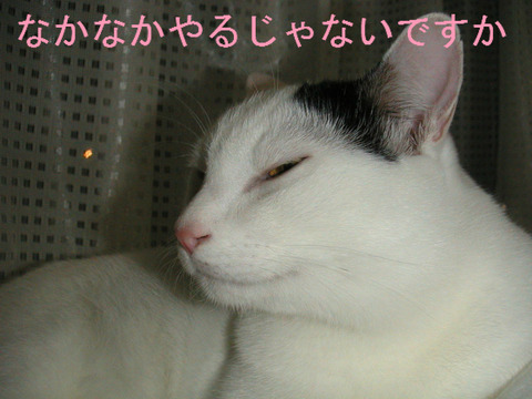 BlogPaint