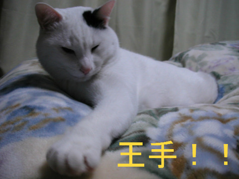 BlogPaint