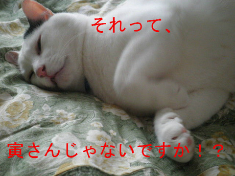 BlogPaint