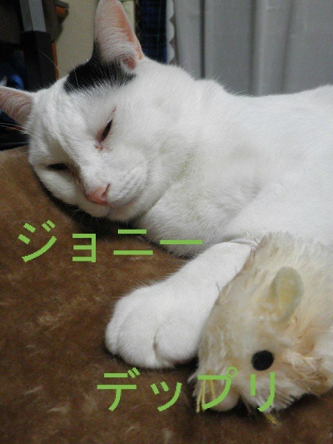 BlogPaint