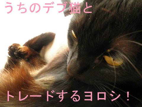 BlogPaint