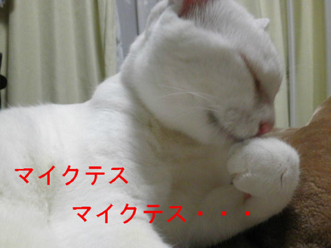 BlogPaint