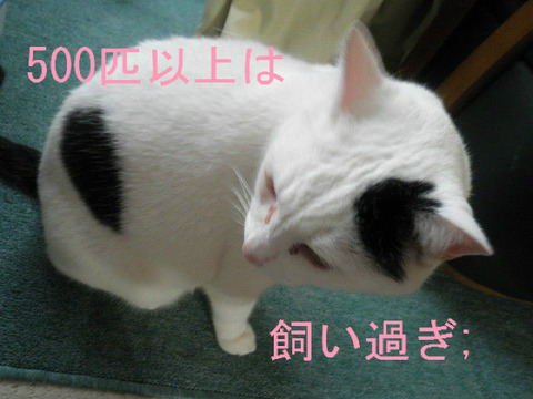 BlogPaint
