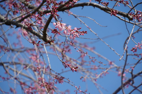 DSC01080