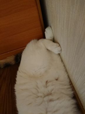 20180727_121040