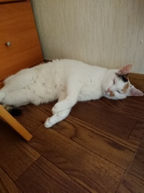 20180727_120832