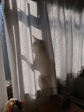 20180625_110704