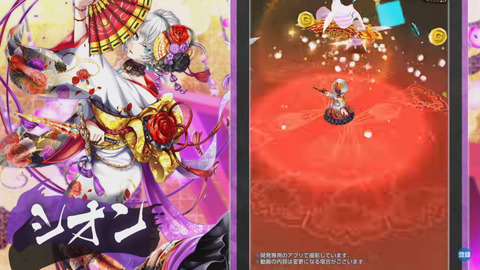 シオン_白猫