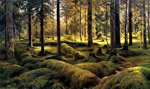 image001