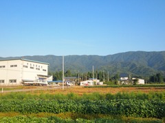 P8141925