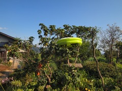P8131877