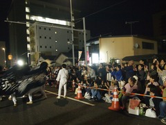 PA013088_compressed