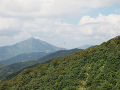 P8193843